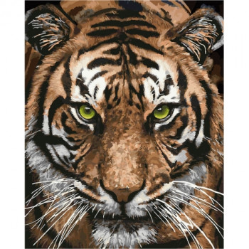 Картины по номерам - Величественный тигр (КНО4166) 40*50 см