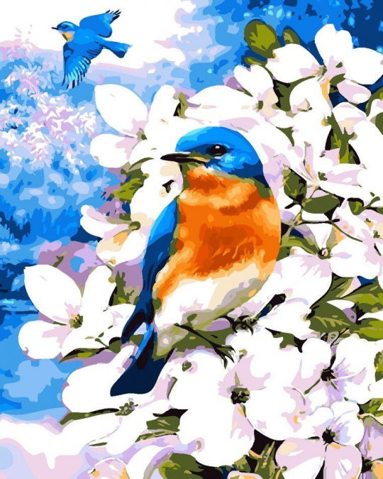 Роспись по номерам &quot;Птица в цветах&quot; в кор. 40*50см, ТМ ArtStory Фото