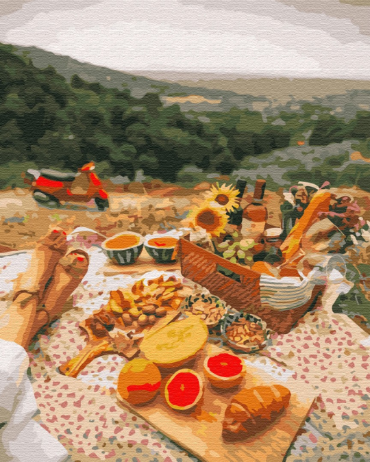 Картина по номерам Пикник в Провансе, в термопакете 40*50см Фото