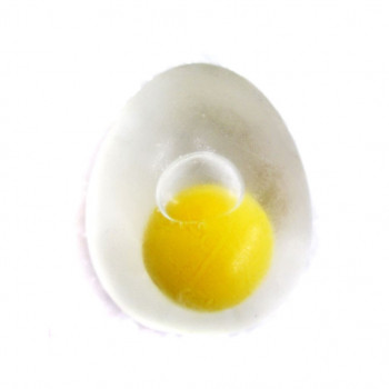 Лизун прорачный яйцо