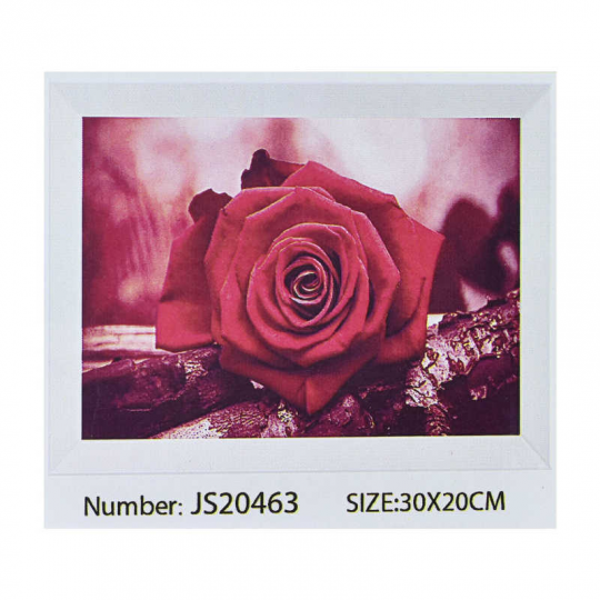 Алмазная мозаика JS 20463 (50) в коробке 30х20 Фото