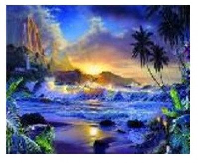 Картина по номерам &quot;Тропический пейзаж&quot; 40*50см,крас.-акрил,кисть-3шт.(1*30)