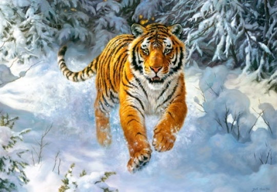 Кастор пазлы 500 &quot;Тигр в снегу&quot; 47*33 /20/ Фото