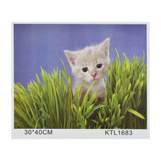 Картина по номерам KTL 1683 (30) в коробке 40х30