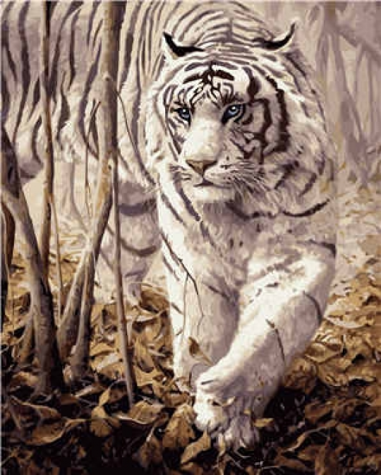 Набір для розпису по номерах VA-0238 &quot;Білий тигр&quot;, розміром 40х50 см Фото