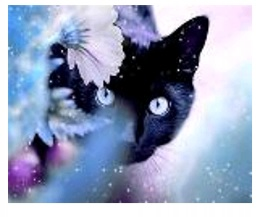 Картина по номерам &quot;Чёрный кот в цветах&quot; 40*50см,крас.-акрил,кисть-3шт.(1*30) Фото