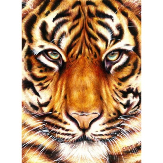 Картины по номерам Сила тигра арт. КНО2459 размер 30*40 см Фото