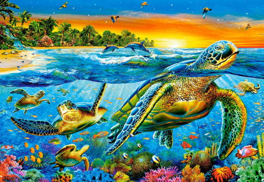 Кастор пазлы 1000 &quot;Морские черепахи&quot; 68*47 /14/ Фото