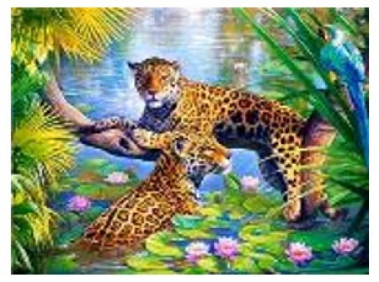 Картина по номерам &quot;Леопарды&quot; 40*50см,крас.-акрил,кисть-3шт.(1*30) Фото