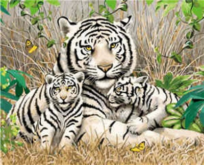 Набір для розпису по номерах VA-1705 &quot;Сім'я бенгальських тигрів&quot;, розміром 40х50 см