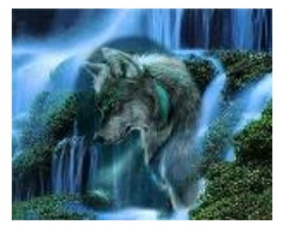 Картина по номерам &quot;Волк и водопад&quot; 40*50см,крас.-акрил,кисть-3шт.(1*30)