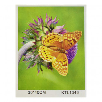 Картина по номерам KTL 1346 (30) в коробке 40х30