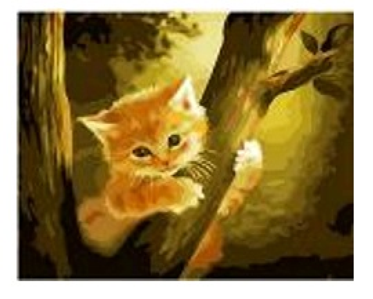 Картина по номерам &quot;Кот на дереве&quot; 40*50см,крас.-акрил,кисть-3шт.(1*30) Фото