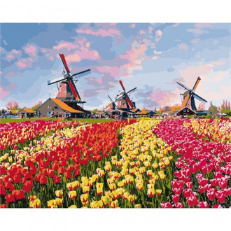 Роспись по номерам Сельский пейзаж &quot;Красочные цветы Голландии&quot;, в термопакете 40*50см