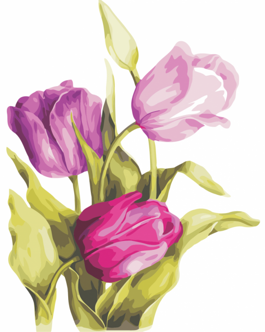 Роспись по номерам &quot;Нежные тюльпаны&quot; в кор. 40*50см, ТМ ArtStory Фото
