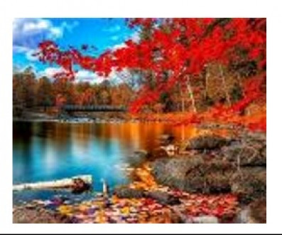Картина по номерам &quot;Озеро в лесу&quot; 40*50см,крас.-акрил,кисть-3шт.(1*30)