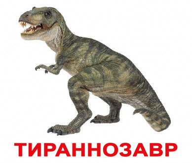 Карточки большие русские с фактами, ламинированые &quot;Динозавры&quot; 20шт, в кул. 16,5*19,5см,ТМ Вундеркинд