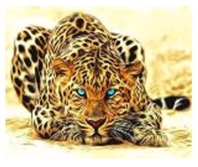 Картина по номерам &quot;Леопард&quot; 40*50см,крас.-акрил,кисть-3шт.(1*30)