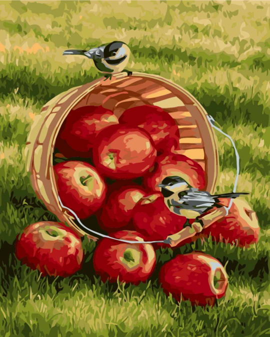 Роспись по номерам &quot;Хрустящие яблочки&quot;, в кор. 40*50см Фото
