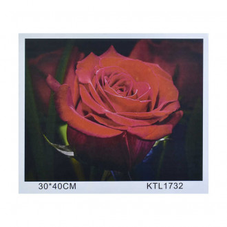 Картина по номерам KTL 1732 (30) в коробке 40х30