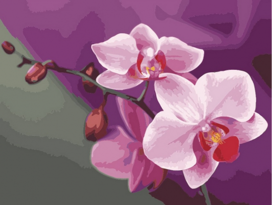 Картина по номерам 40x50 Розовые орхидеи, Идейка (КНО1081) Фото