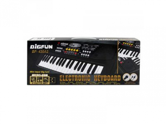 Синтезатор BF-430A2 37 клавиш,микрофон,USBшнур,mp3,запись,Demo,на бат,в кор-ке,43-17-6см Фото