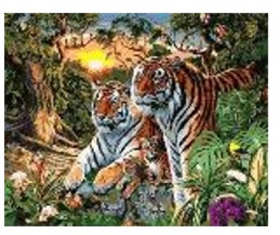 Картина по номерам &quot;Тигры&quot; 40*50см,крас.-акрил,кисть-3шт.(1*30)