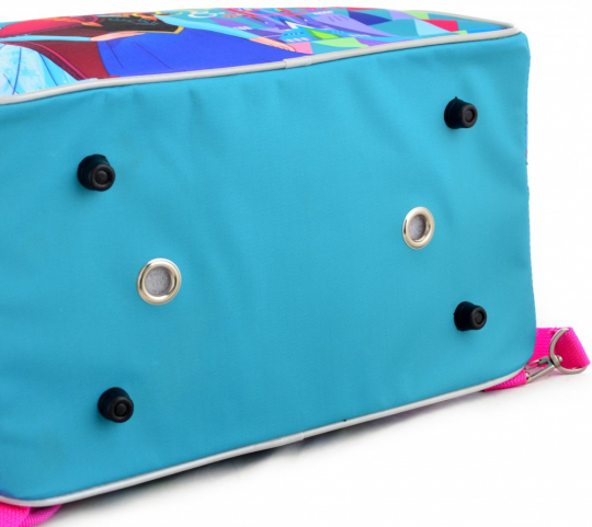 Сумка-рюкзак 1 Вересня 20х35х34 см 22 л для девочек Frozen (555352) Фото