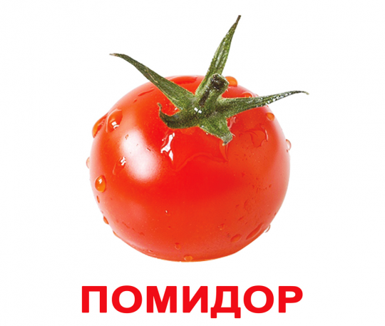 Карточки мини русские с фактами, ламинированые, &quot;Овощи&quot;, 8*10см, ТМ Вундеркинд Фото