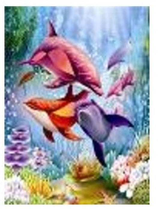Картина по номерам &quot;Дельфины в океане&quot; 40*50см,крас.-акрил,кисть-3шт..(1*30) Фото